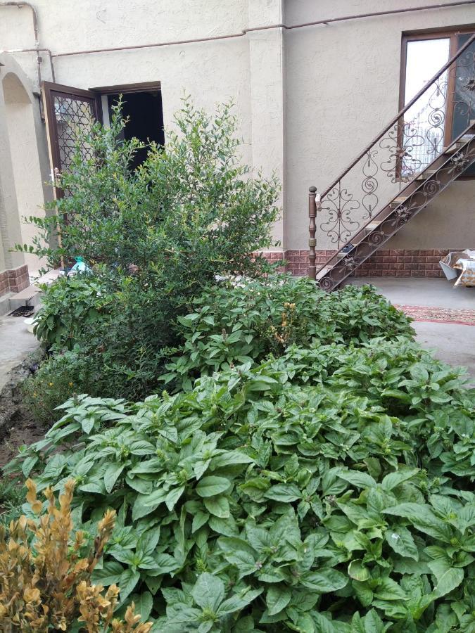 Guest House Art Postindoz Khiva Exterior foto