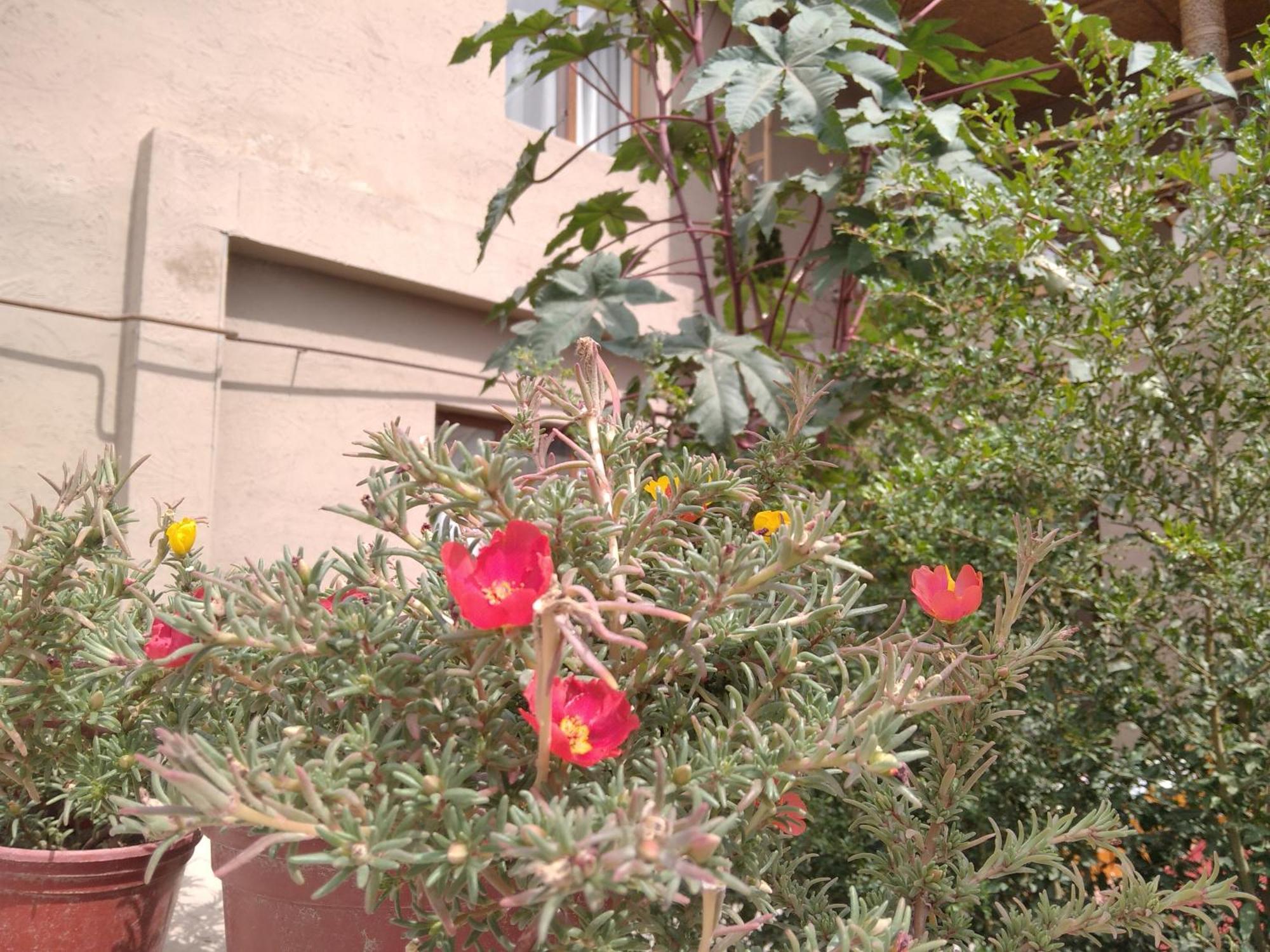 Guest House Art Postindoz Khiva Exterior foto